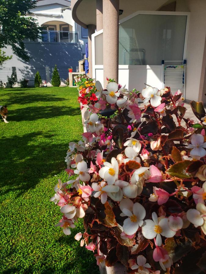 Oassis Apartment บาร์ ภายนอก รูปภาพ